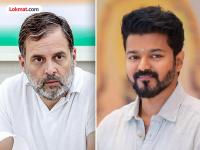 तामिळनाडूमध्ये काँग्रेसची 'दिल्ली'सारखी चूक? विजयला पाठिंबा देण्याच्या निर्णयावरून 'त्या' पुनरावृत्ती भीती - Marathi News | Congress Supports Vijay TVK in Tamil Nadu Move Sparks Comparisons to 2013 Delhi Strategy | Latest national News at Lokmat.com