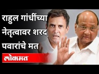 राहुल गांधींच्या नेतृत्वावर शरद पवारांचे मत | Sharad Pawar On Rahul Gandhi | Maharashtra News