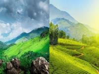 Monsoon Travel : कुर्ग की मुन्नार; पावसाळी पिकनिकसाठी कोणतं ठिकाण ठरेल बेस्ट? - Marathi News | Monsoon Travel: Coorg or Munnar; Which place would be the best for a monsoon picnic? | Latest travel Photos at Lokmat.com