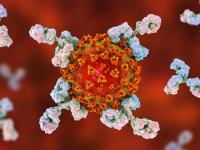 CoronaVirus : चीननं आधी जगाला संकटात लोटलं; आता कोरोनाला संपवणारी अँटीबॉडी मिळवली! - Marathi News | CoronaVirus : corona vaccine chinese researchers found human neutralizing antibody who targeting corona vrd | Latest international Photos at Lokmat.com