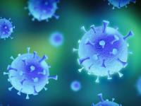 कोरोनाशी संबंधित 'ही' 10 तथ्ये अन् अफवा माहिती आहेत काय? - Marathi News | health 10 facts and myths related to coronavirus everyone must know about vrd | Latest national Photos at Lokmat.com