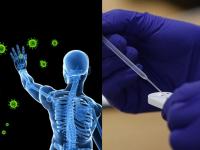 Coronavirus : 'ज्या' गोष्टीमुळे दिलासा मिळण्याची होती सर्वात जास्त आशा, त्यासंबंधी निराशाजनक माहिती आली समोर! - Marathi News | Coronavirus : Immunity to Coronavirus Could Only Last Six Months: Study api | Latest health Photos at Lokmat.com