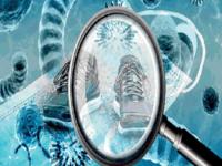 Coronavirus: बूट घालाल तर व्हाल कोरोनाचे शिकार; ‘इतके’ दिवस जिवंत राहतो विषाणू – रिसर्च - Marathi News | Coronavirus: How Long Survive In Surfaces Shoes Plastic Stainless Steel research pnm | Latest social-viral Photos at Lokmat.com