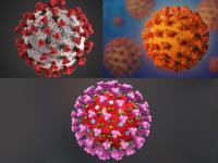 Coronavirus : एक नाही तर तीन प्रकारचा आहे कोरोना व्हायरस, 'हा' आहे सर्वात जीवघेणा प्रकार! - Marathi News | Coronavirus : There are three types of covid-19 most dangerous is type b api | Latest health Photos at Lokmat.com