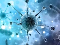 CoronaVirus News : कोरोना व्हायरस पाण्यामुळे मरतो, रशियन शास्त्रज्ञांचा दावा - Marathi News | CoronaVirus News: water can kill new coronavirus russian scientists find | Latest international Photos at Lokmat.com