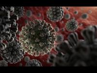 Bad News : टोक्यो ऑलिम्पिक स्पर्धेनंतर क्रिकेटची मोठी लीग 2020मध्ये होणार नाही - Marathi News | Corona Virus : ECB announces The Hundred will take place in 2021 svg | Latest cricket Photos at Lokmat.com