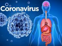 Coronavirus : कोरोना व्हायरस शरीरात कसा शिरतो आणि इन्फेक्ट करतो? जाणून घ्या स्टेप बाय स्टेप प्रक्रिया... - Marathi News | Coronavirus : How covid 19 virus enters in your body infect you api | Latest health Photos at Lokmat.com