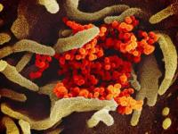 Coronavirus: कोणत्याही देशाला जमलं नाही 'ते' चीननं करून 'दाखवलं'; उचललं मोठं पाऊल - Marathi News | coronavirus china wuhan conducted 1470950 tests vrd | Latest international Photos at Lokmat.com