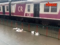 Mumbai Rain Updates : पावसामुळे ठाणे स्टेशनवर साचलं पाणी, रेल्वे वाहतुकीवर परिणाम
