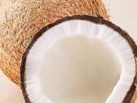 नारळ फोडलं की २ दिवसांत खोबऱ्याला आंबूस वास येतो, बुरशी लागते? ५ ट्रिक्स-ओलं खोबरेल टिकेल महिनाभर - Marathi News | how to store cut coconut to prevent fungus why does cut coconut smell sour in two days simple tricks to keep coconut fresh for a month best way to preserve coconut at Home | Latest sakhi Photos at Lokmat.com