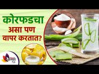 चेहऱ्यावर योग्य पद्धतीने कोरफड कशी लावावी? | How to Use Aloe Vera On Face for Skin Whitening