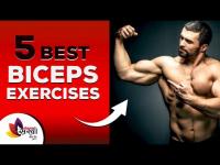 Basic Biceps Workout for Beginners | Top 5 Biceps Workout for Beginners | Workout for Beginners