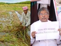 शेतकऱ्यांना नुकसान भरपाई द्या, भाजपचा विधिमंडळ पायरीवर ठिय्या - Marathi News | Compensate the farmers, let the BJP legislature stand on its feet | Latest mumbai Photos at Lokmat.com