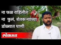 फळ राहिलीत ना फुलं, शेतकऱ्यांच्या डोळ्यात पाणी | Farmers Tears In The Eyes | Maharashtra News