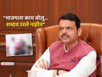 "तर मी फडणवीसांना या जन्मी माफ करणार नाही", अंजली दमानियांची पोस्ट, 'तो' फोटोही केला शेअर - Marathi News | anjali damania warns cm devendra fadnavis over dhananjay munde meeting amit shah delhi visit viral photo | Latest maharashtra News at Lokmat.com