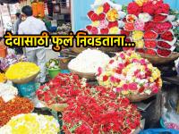 Adhik Maas Puja 2023: देवपूजेसाठी फुलं निवडताना 'हे' महत्त्वाचे नियम पाळा आणि दिलेल्या चुका टाळा! - Marathi News | Adhik Maas Puja 2023: Follow 'These' Important Rules & Avoid Given Mistakes While Choosing Flowers for Devpuja! | Latest bhakti Photos at Lokmat.com