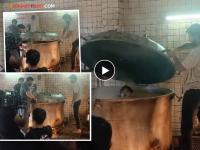 असा शूट झाला 'धुरंधर'मधील 'तो' भयानक सीन, अभिनेत्याने शेअर केला BTS व्हिडीओ, पाहून अंगावर येईल काटा - Marathi News | dhurandhar movie scene actor shared bts video of ranveer singh akshay khanna cinema | Latest filmy News at Lokmat.com