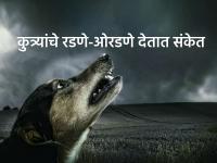 Vastu TIps: रात्री अपरात्री कुत्र्याच्या रडण्याचा आवाज कानावर पडणे अशुभ का मानले जाते? वाचा! - Marathi News | Vastu TIPs: Why is it considered inauspicious to hear the sound of a dog barking at night? Read on! | Latest bhakti Photos at Lokmat.com