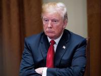 स्वतःच्याच जाळ्यात अडकले डोनाल्ड ट्रम्प...! अमेरिकेत याच वर्षात 446 कंपन्या झाल्या दिवाळखोर! - Marathi News | Donald Trump caught in his own trap tariff impact on US 446 companies went bankrupt in America this year | Latest international Photos at Lokmat.com