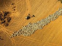 ड्रोन कॅमेराने काढलेले 'हे' सुंदर फोटो डोकं चक्रावून सोडतील! - Marathi News | Jaw dropping pics captured by drone goes viral | Latest social-viral Photos at Lokmat.com