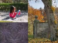 Optical Illusion: चॅलेंज! हे सहा फोटो पहाल तर तुमचे डोके हलेल, गरगरेल; डोळेच नाही तर मेंदूही खाईल धोका - Marathi News | Optical Illusion: Challenge! If you look at these six photos, your head will shake and growl; Not only the eyes but also the brain will get cheat | Latest social-viral Photos at Lokmat.com