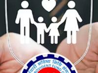 पगारदारांनो लक्ष द्या! तुमच्या पीएफ खात्यावर मिळतोय ७ लाखांचा मोफत विमा; असा करा क्लेम - Marathi News | EPFO EDLI Scheme: How to Get Free ₹7 Lakh Insurance Cover on Your PF Account | Latest business Photos at Lokmat.com