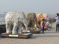 मुंबईत एलिफंट परेड प्रदर्शनात साकारल्या हत्तींच्या शिल्पाकृती - Marathi News | Elephant sculptures performed at elephant parade show in Mumbai | Latest mumbai Photos at Lokmat.com