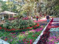 PHOTOS: रंगीबेरंगी फुलांनी सजले 'एम्प्रेस गार्डन'; रविवारपर्यंत पुष्पप्रदर्शनाचा आनंद लुटता येणार - Marathi News | PHOTOS: 'Empress Garden' decorated with colorful flowers; Flower display can be enjoyed till Sunday | Latest pune Photos at Lokmat.com