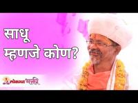 साधू म्हणजे कोण? Who Is Sadhu? Swami Shantigiriji Maharaj | Lokmat Bhakti