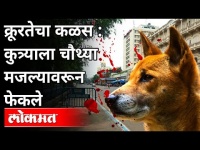 कुत्र्याला चौथ्या मजल्यावरून का फेकले? Dog Thrown From The Fourth Floor In Pune | Maharashtra News