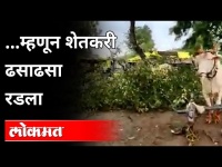शेती, पशुधनाचे नुकसान पाहून शेतकऱ्याच्या अश्रूचा बांध फुटला | Heavy Rain in Maharashtra |Farmer News