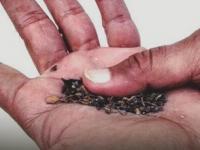 तंबाखू आणि सिगारेट महागणार! केंद्र सरकारकडून उत्पादन शुल्कात ५ पट वाढ; नवीन किंमत काय असेल? - Marathi News | Cigarettes and Tobacco Products to Get Costlier Government Hikes Excise Duty up to ₹11,000 Per Thousand Sticks | Latest business News at Lokmat.com तंबाखू आणि सिगारेट महागणार! केंद्र सरकारकडून उत्पादन शुल्कात ५ पट वाढ; नवीन किंमत काय असेल? - Marathi News | Cigarettes and Tobacco Products to Get Costlier Government Hikes Excise Duty up to ₹11,000 Per Thousand Sticks | Latest business News at Lokmat.com