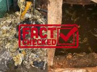 Fact Check: कंडोममुळं तुंबली गर्ल्स हॉस्टेलची पाईपलाईन? व्हायरल व्हिडीओमुळे नको ‘त्या’ चर्चा! - Marathi News | Fact Check: Viral Video of Condom-Clogged Sewer is NOT from Delhi Girls Hostel; Origin Traced to Africa | Latest national News at Lokmat.com Fact Check: कंडोममुळं तुंबली गर्ल्स हॉस्टेलची पाईपलाईन? व्हायरल व्हिडीओमुळे नको ‘त्या’ चर्चा! - Marathi News | Fact Check: Viral Video of Condom-Clogged Sewer is NOT from Delhi Girls Hostel; Origin Traced to Africa | Latest national News at Lokmat.com