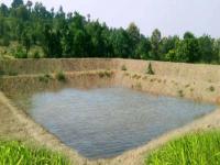 निधीटंचाई; शेततळ्यांना सरकारनेच दिली कबुली; कृषिमंत्र्यांनी दिली माहिती : रक्कम देताना हात आखडता - Marathi News | Shortage of funds; Government itself admitted to farm ponds; Agriculture Minister gave information: Hands are shaking while giving money | Latest maharashtra News at Lokmat.com निधीटंचाई; शेततळ्यांना सरकारनेच दिली कबुली; कृषिमंत्र्यांनी दिली माहिती : रक्कम देताना हात आखडता - Marathi News | Shortage of funds; Government itself admitted to farm ponds; Agriculture Minister gave information: Hands are shaking while giving money | Latest maharashtra News at Lokmat.com