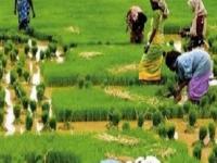 PM Kisan Maandhan Yojana : आता शेतकऱ्यांना मिळणार दरमहा 3 हजार रुपये पेन्शन; काय आहे योजना? जाणून घ्या... - Marathi News | central government has started kisan maandhan yojana to give pension to the farmers | Latest business Photos at Lokmat.com