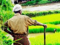 इथे ओशाळली माणुसकी! अवघ्या ३.४६ रुपयांचं कर्ज फेडण्यासाठी शेतकऱ्यावर १५ किमी पायपीट करण्याची वेळ - Marathi News | Karnataka farmer made to walk 15 km to clear Rs 3 46 bank loan | Latest national Photos at Lokmat.com