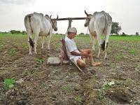 शेतकरी कर्जवसुलीस एक वर्षाची स्थगिती; अतिवृष्टीग्रस्त शेतकऱ्यांना राज्य सरकारचा दिलासा - Marathi News | One-year moratorium on farmer loan recovery; State government provides relief to farmers affected by heavy rains | Latest maharashtra News at Lokmat.com शेतकरी कर्जवसुलीस एक वर्षाची स्थगिती; अतिवृष्टीग्रस्त शेतकऱ्यांना राज्य सरकारचा दिलासा - Marathi News | One-year moratorium on farmer loan recovery; State government provides relief to farmers affected by heavy rains | Latest maharashtra News at Lokmat.com