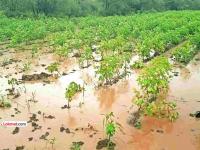 आचारसंहिता लागू तरीही सरकारला ४ दिवस घेता येणार धोरणात्मक निर्णय; आयोगाची पूर्वपरवानगी हवी - Marathi News | Even though the model code of conduct is in force, the government will be able to take policy decisions within 4 days; Prior permission from the Election Commission will be required | Latest maharashtra News at Lokmat.com आचारसंहिता लागू तरीही सरकारला ४ दिवस घेता येणार धोरणात्मक निर्णय; आयोगाची पूर्वपरवानगी हवी - Marathi News | Even though the model code of conduct is in force, the government will be able to take policy decisions within 4 days; Prior permission from the Election Commission will be required | Latest maharashtra News at Lokmat.com