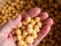 Dusshera Special : छोले भिजवायला विसरलात? आयत्यावेळी 3 ट्रिक्स करा, झटपट मऊ होतील छोले-पटकन शिजतील, - Marathi News | Best Hacks For Unsoaked Chhole Instant Softening How To Cook Chickpeas Without Soaking | Latest sakhi Photos at Lokmat.com