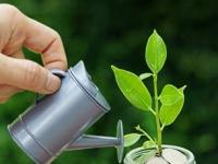 SIP की FD,पैशांची गुंतवणूक कुठे करायची? फायदा-तोट्याचे गणित समजून घ्या - Marathi News | SIP or FD, where to invest money? Understand the math of profit and loss | Latest business Photos at Lokmat.com