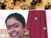 धक्कादायक! मुंग्यांच्या भीतीने गमावला जीव, कोणत्या व्हिटॅमिनच्या कमतरतेमुळे हे होतं? - Marathi News | fear of ants linked to vitamin deficiency understanding rare phobia called myrmecophobia | Latest sakhi News at Lokmat.com धक्कादायक! मुंग्यांच्या भीतीने गमावला जीव, कोणत्या व्हिटॅमिनच्या कमतरतेमुळे हे होतं? - Marathi News | fear of ants linked to vitamin deficiency understanding rare phobia called myrmecophobia | Latest sakhi News at Lokmat.com