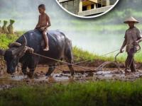 बुडालेल्या बँकांवर डाव लावला, एकीने नशीब फळफळवले; आता हजारो कोटींमध्ये खेळतोय शेतकऱ्याचा मुलगा - Marathi News | kulangara paulo hormis who expanded small bank one branch to 1700 branch now valued 54000 crore | Latest business Photos at Lokmat.com