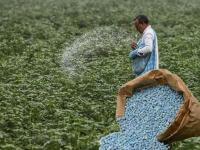 युद्धाचा फटका: रासायनिक खतांची दरवाढ शेतकऱ्यांच्या बोकांडी, दरात १०.८४ ते ८५.७१ टक्क्यांची वाढ - Marathi News | Impact of war: Price hike of chemical fertilizers hits farmers hard, prices increase by 10.84 to 85.71 percent | Latest nagpur News at Lokmat.com