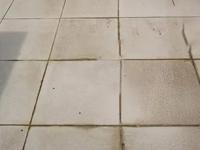 फरशी कितीही पुसली तरीही काळे-पिवळे डाग दिसतात? ५ टिप्स- मिनिटांत चमकेल आरशासारखी - Marathi News | How to remove black and yellow stains from floor at home Best home remedies for shiny mirror-like floor | Latest sakhi Photos at Lokmat.com