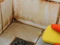 बाथरुमच्या फरशी-टाइल्सवर काळा- पिवळा थर जमा झाला? ५ रुपयांत डाग होतील कमी- फरशी चमकेल चकाक - Marathi News | how to remove yellow stains from bathroom tiles naturally remove hard water stains from bathroom floor at Home home remedy for black stains on bathroom tiles | Latest sakhi Photos at Lokmat.com