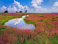 Travel : स्वित्झर्लंडलाही टक्कर देतात भारतातील 'या' ७ जागा; पाचवं ठिकाण बघताच कराल तिकीट बुक - Marathi News | Travel: These 7 places in India rival Switzerland; Book a ticket as soon as you see the fifth place | Latest travel Photos at Lokmat.com