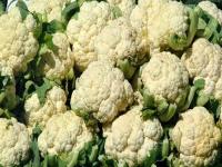 फ्लॉवर ठरतो आरोग्यासाठी फायदेशीर; कॅन्सरपासून बचाव करण्यासोबतच इतरही फायदे - Marathi News | Many benefits of cauliflower including in cancer here are some delicious dishes | Latest food Photos at Lokmat.com