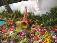 राणीच्या बागेत पाना-फुलांपासून बनली सनई, बासरी आणि गिटार