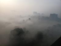 दाटले रेशमी धुके..! ...जेव्हा पुण्यावर पसरते मनमोहक धुक्याची जादू - Marathi News | Thick silky mist ..! ... when the magic of captivating fog spreads over Pune | Latest pune Photos at Lokmat.com