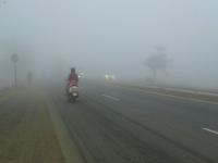 कामशेत, लोणावळा परिसर हरवला धुक्यात, पहाटेच्या वेळी वाहतुकीचा वेग मंदावला - Marathi News | Kamshet, Lonavla area lost in fog, the speed of the transport slowed in the morning | Latest pimpri-chinchwad Photos at Lokmat.com